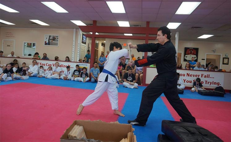 Martial Arts Gallery