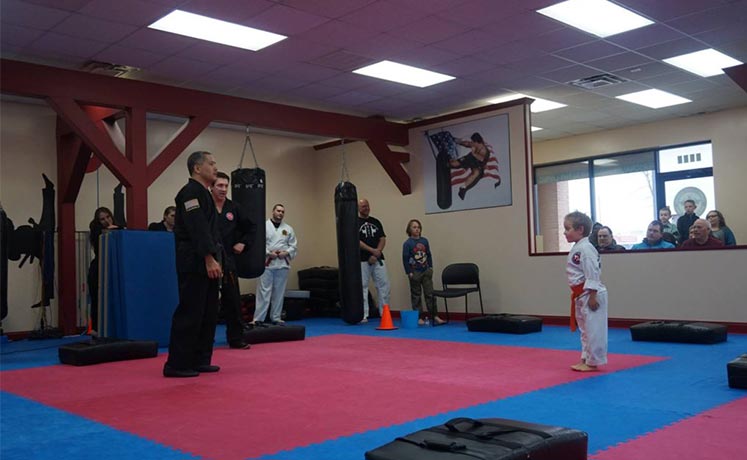 Martial Arts Gallery