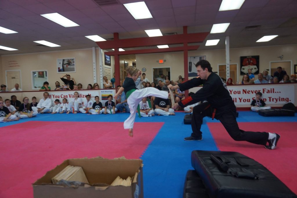 the family karate experience
